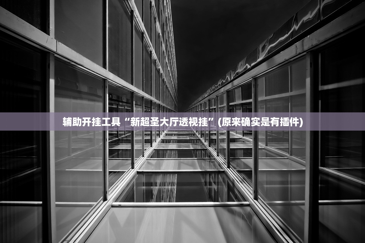 辅助开挂工具“新超圣大厅透视挂”(原来确实是有插件)