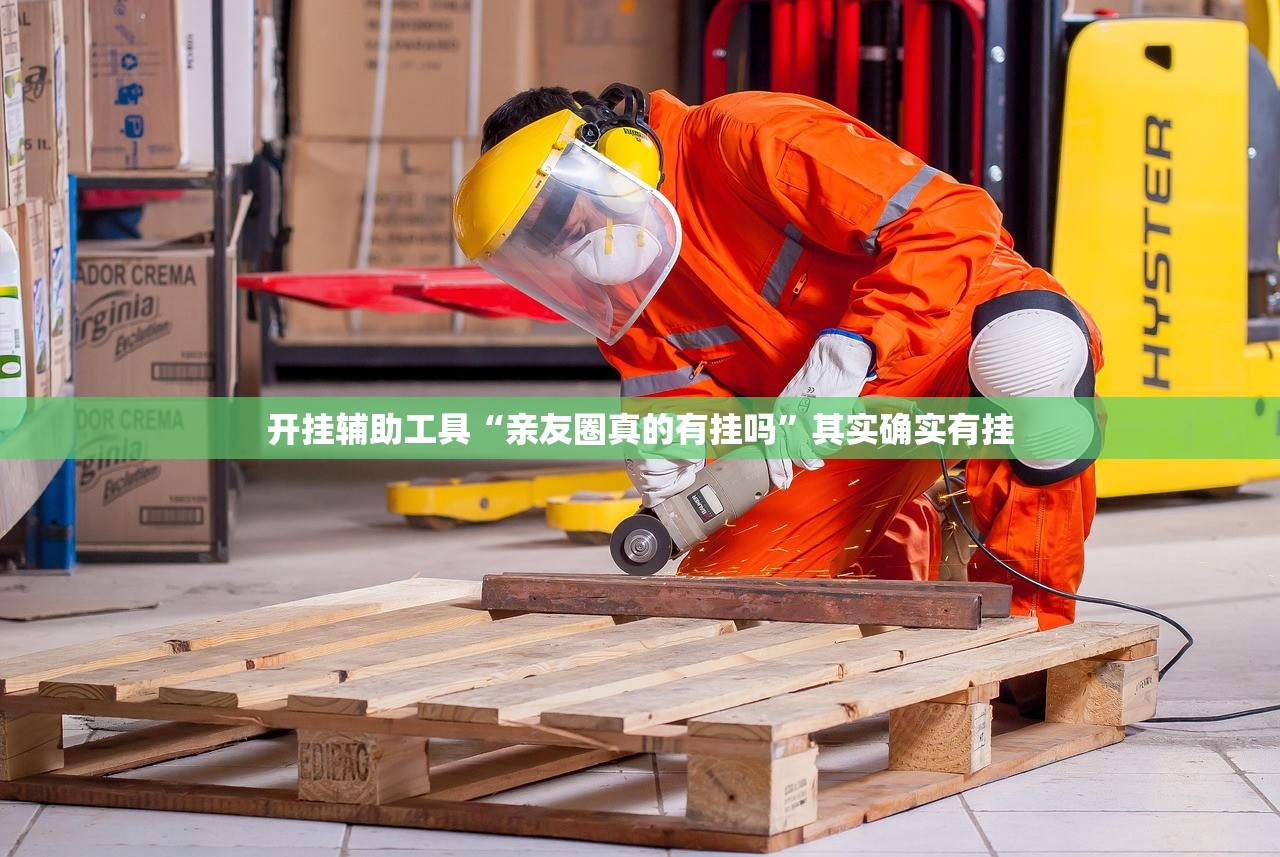 开挂辅助工具“亲友圈真的有挂吗	”其实确实有挂