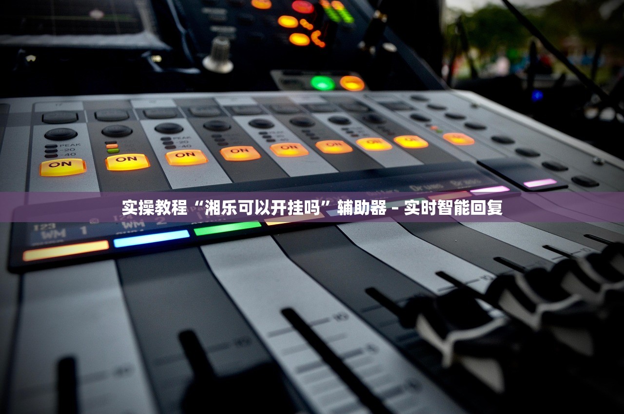 实操教程“湘乐可以开挂吗	”辅助器 – 实时智能回复