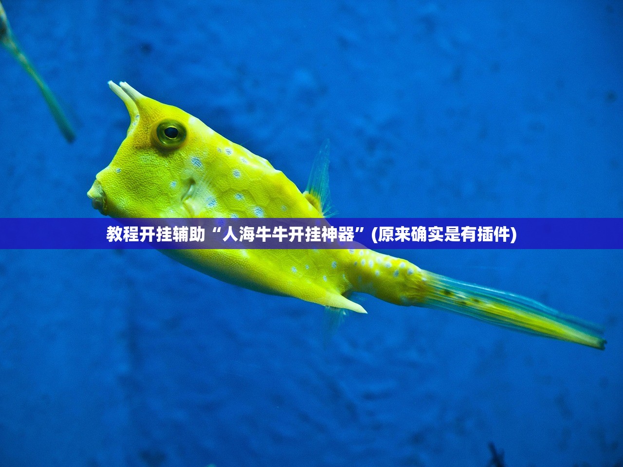 教程开挂辅助“人海牛牛开挂神器”(原来确实是有插件)
