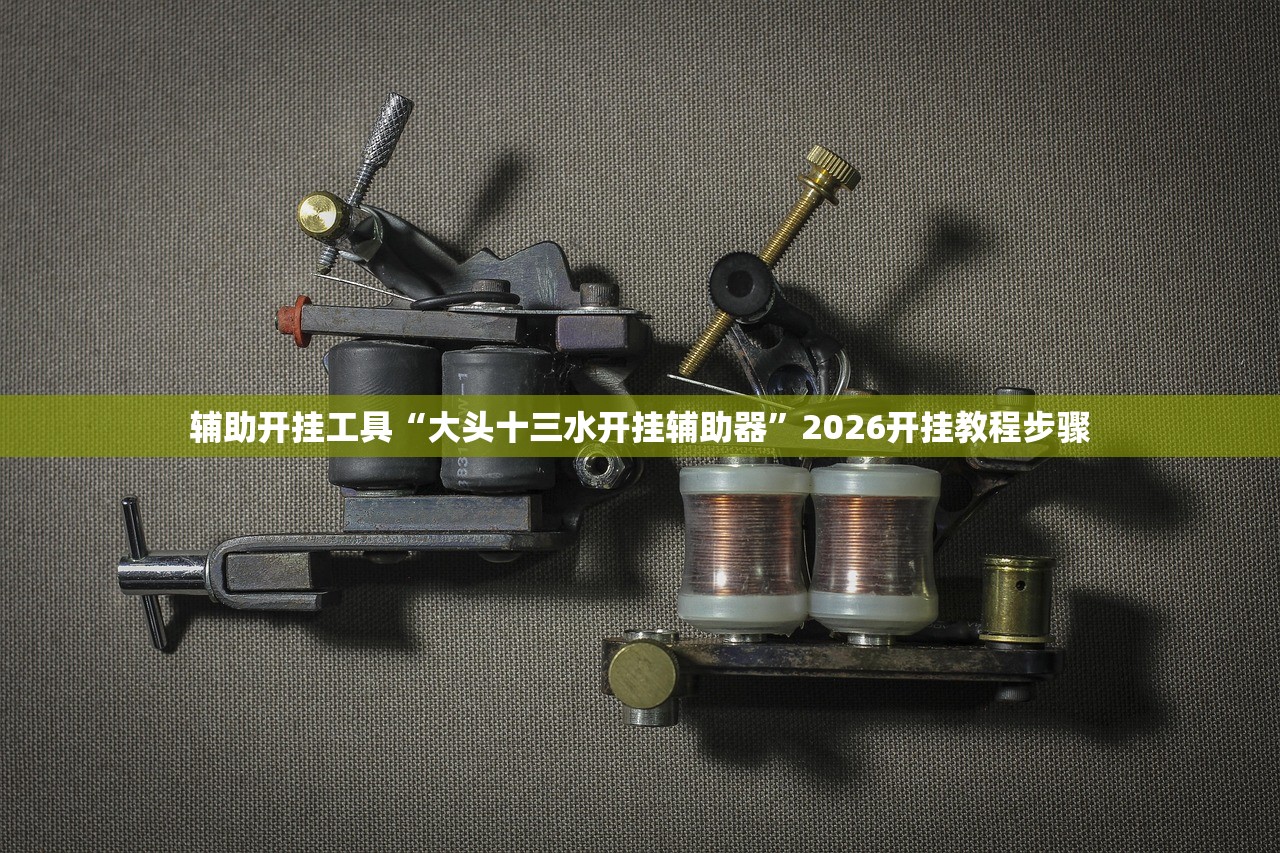 辅助开挂工具“大头十三水开挂辅助器”2026开挂教程步骤