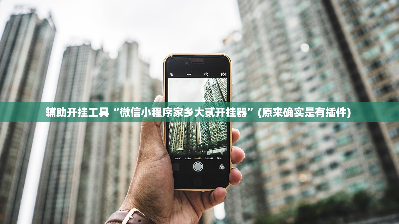 辅助开挂工具“微信小程序家乡大贰开挂器	”(原来确实是有插件) 