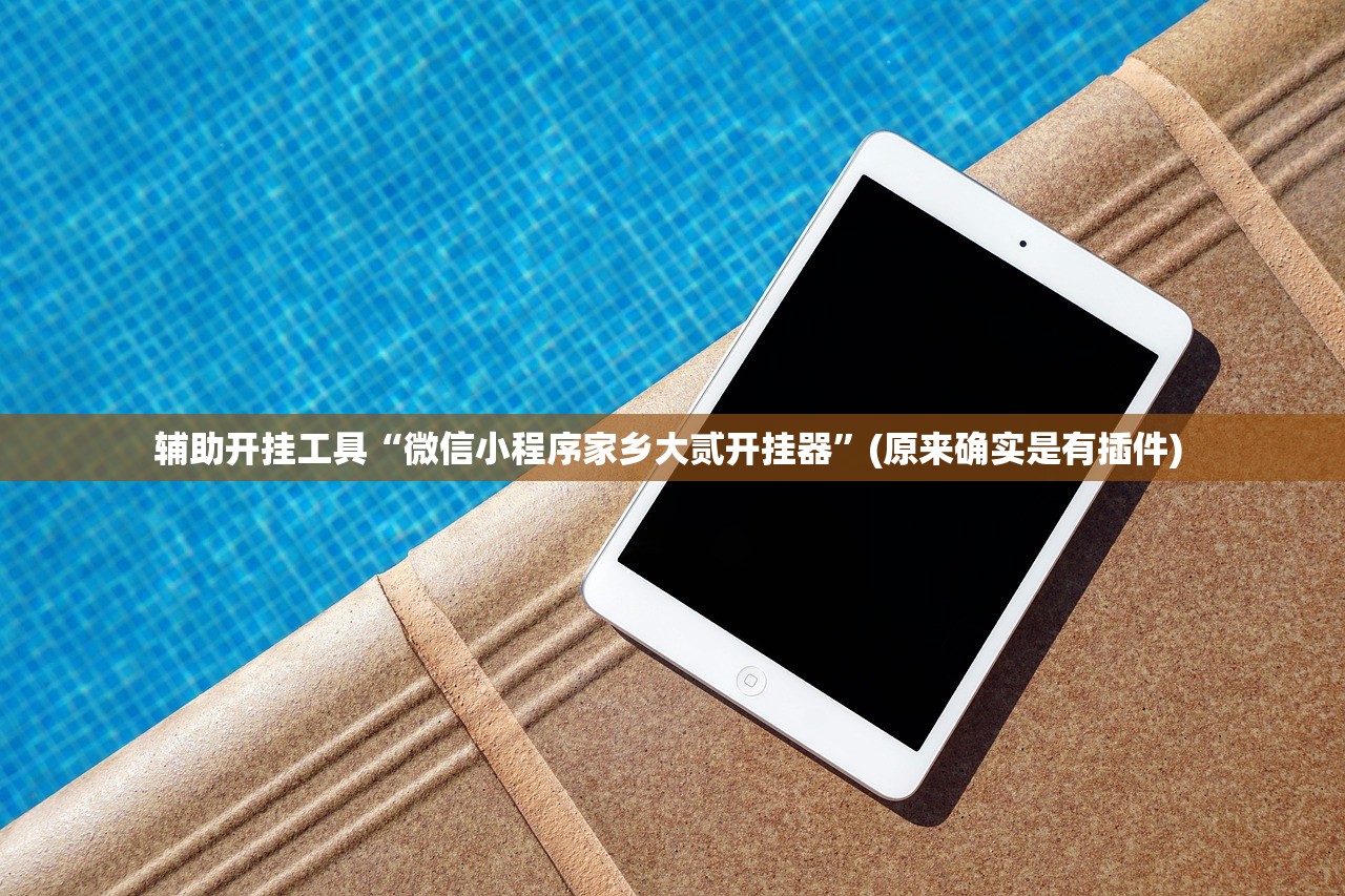 辅助开挂工具“微信小程序家乡大贰开挂器”(原来确实是有插件) 