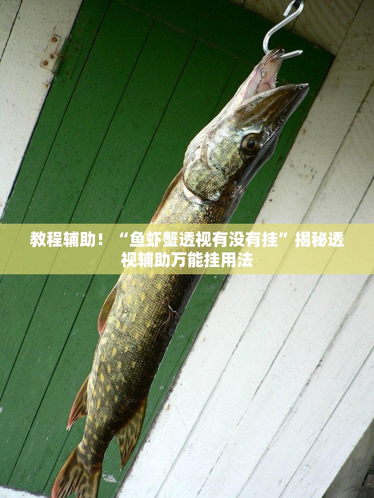 教程辅助！“鱼虾蟹透视有没有挂	”揭秘透视辅助万能挂用法