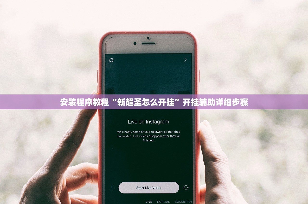 安装程序教程“新超圣怎么开挂”开挂辅助详细步骤