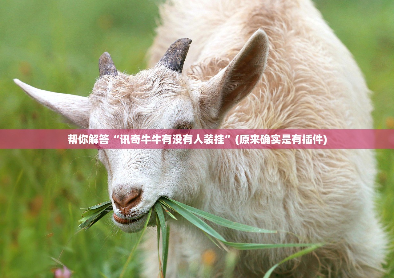 帮你解答“讯奇牛牛有没有人装挂	”(原来确实是有插件)