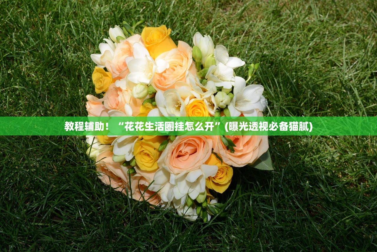 教程辅助！“花花生活圈挂怎么开”(曝光透视必备猫腻)