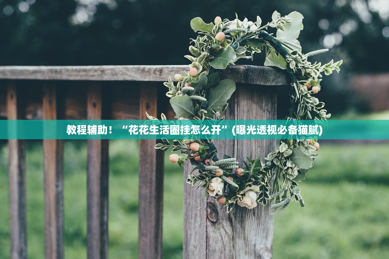 教程辅助！“花花生活圈挂怎么开”(曝光透视必备猫腻)