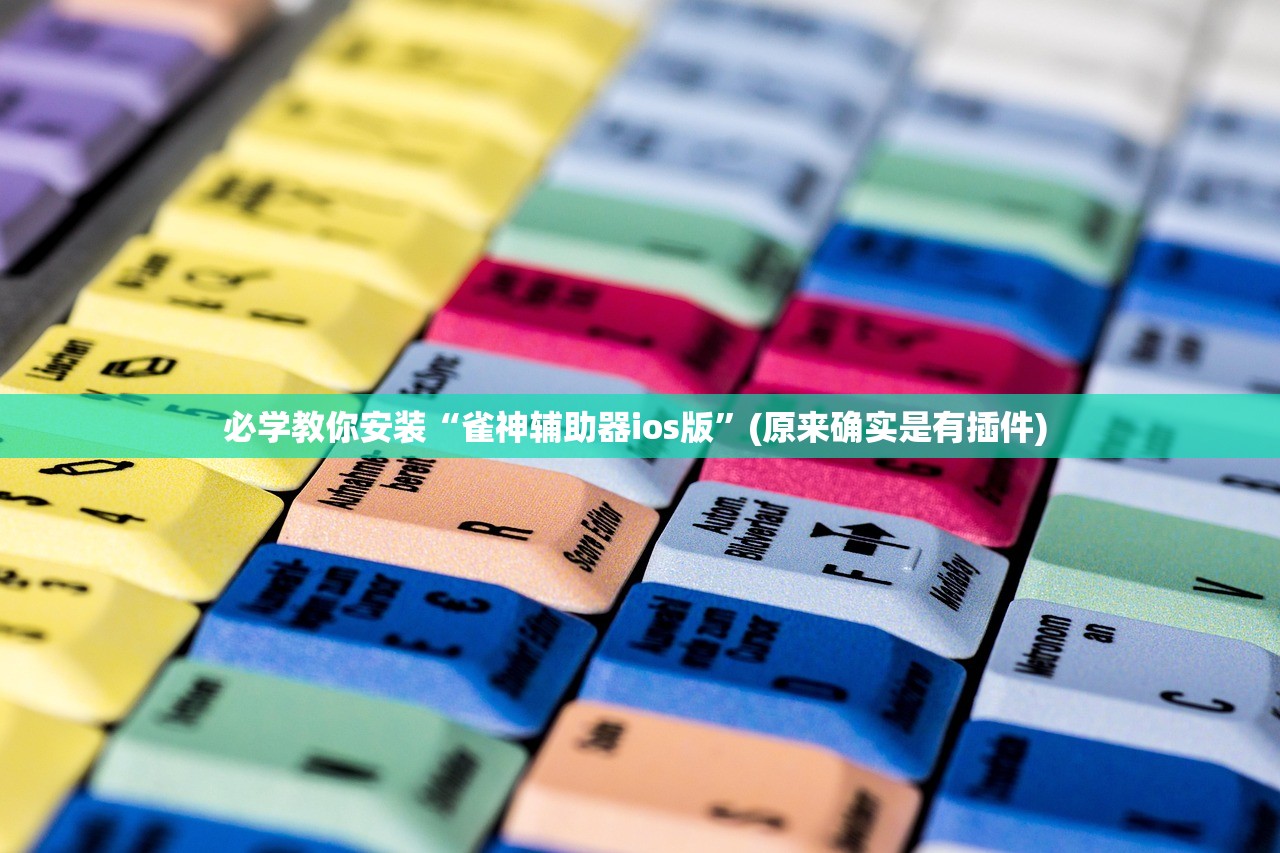 必学教你安装“雀神辅助器ios版	”(原来确实是有插件) 