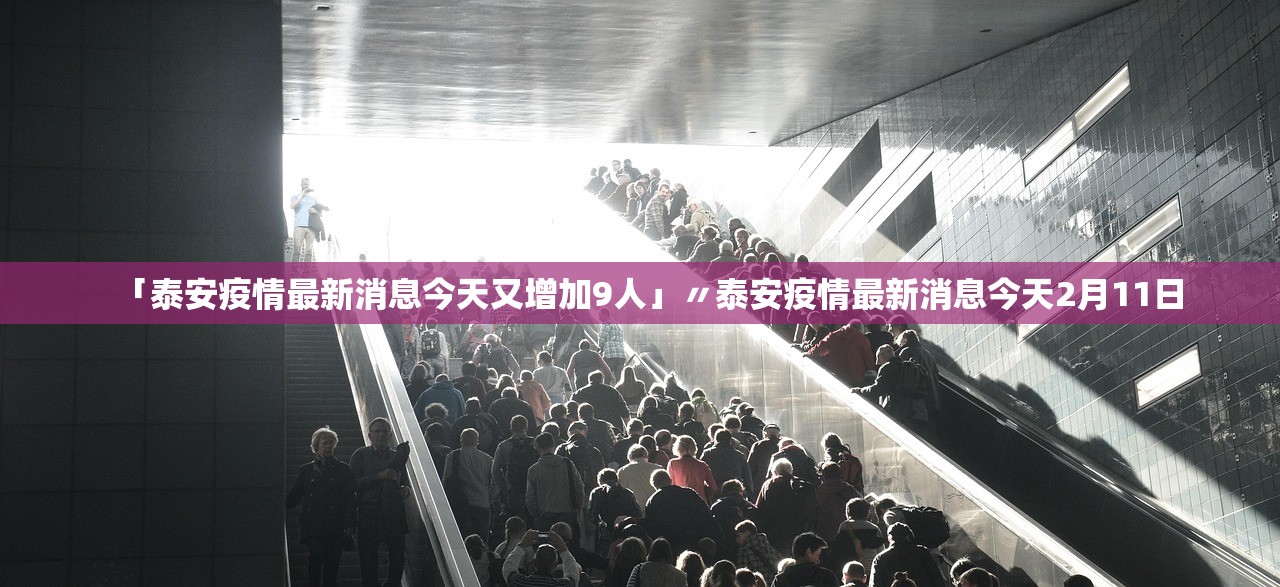 教程辅助！“微乐麻将万能挂”其实确实有挂