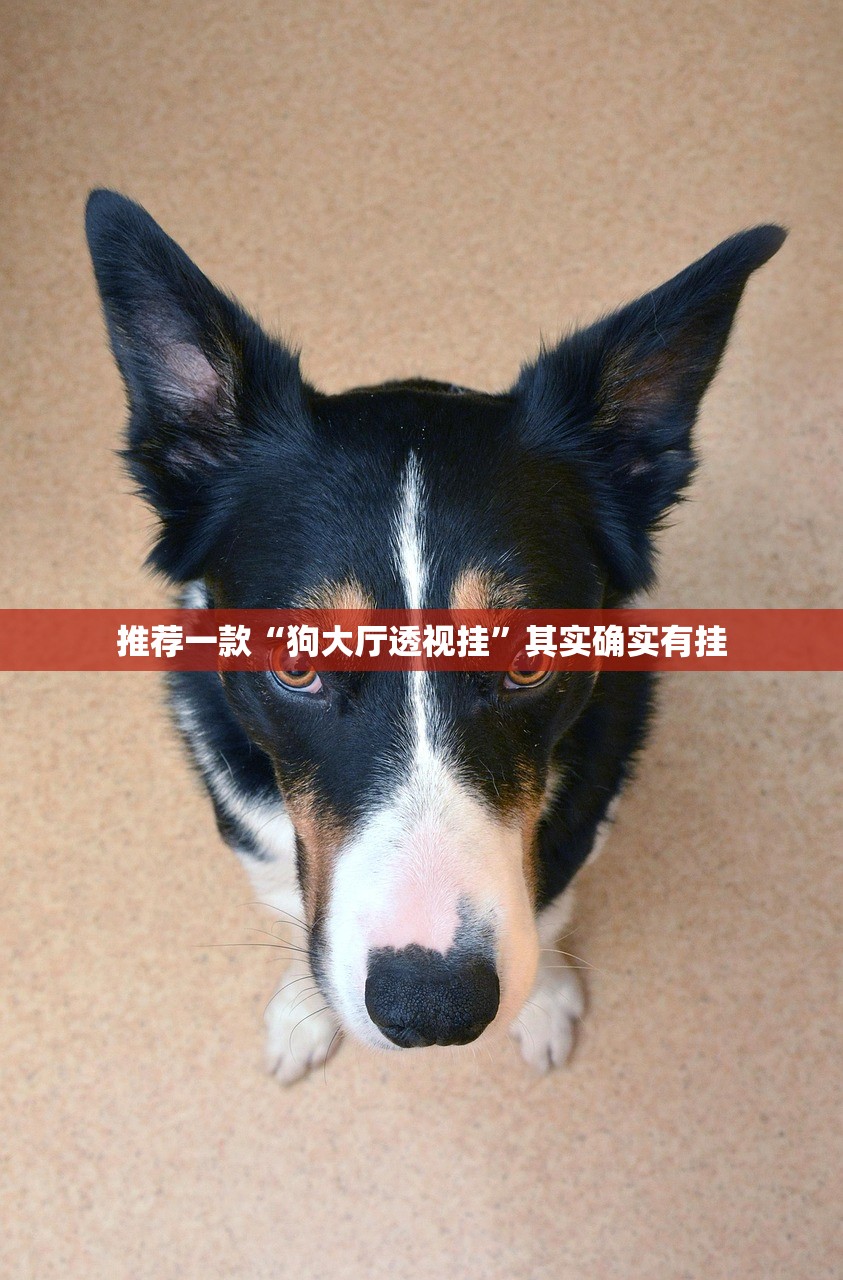 推荐一款“狗大厅透视挂	”其实确实有挂
