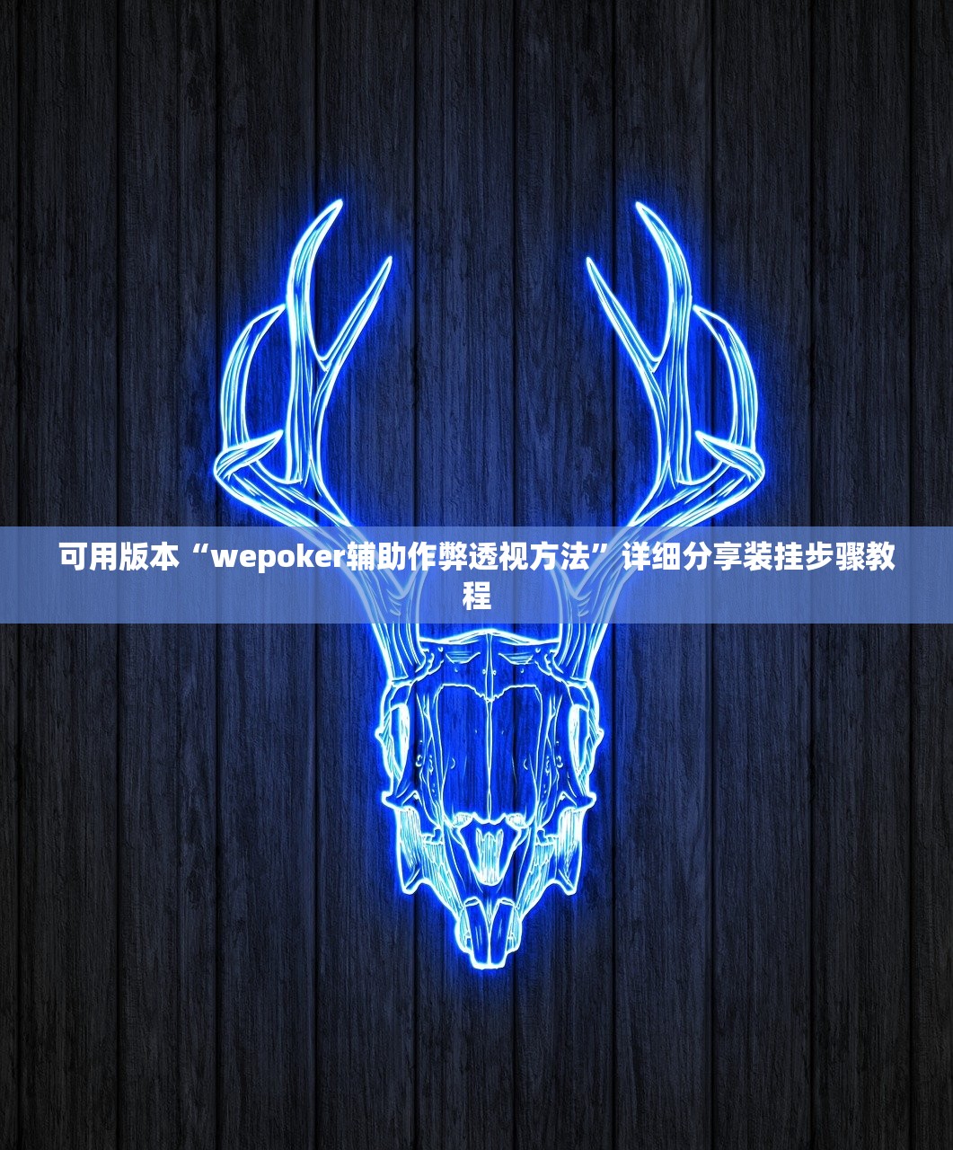 可用版本“wepoker辅助作弊透视方法”详细分享装挂步骤教程