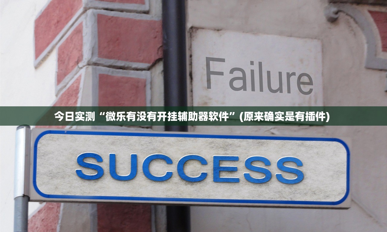 今日实测“微乐有没有开挂辅助器软件”(原来确实是有插件) 
