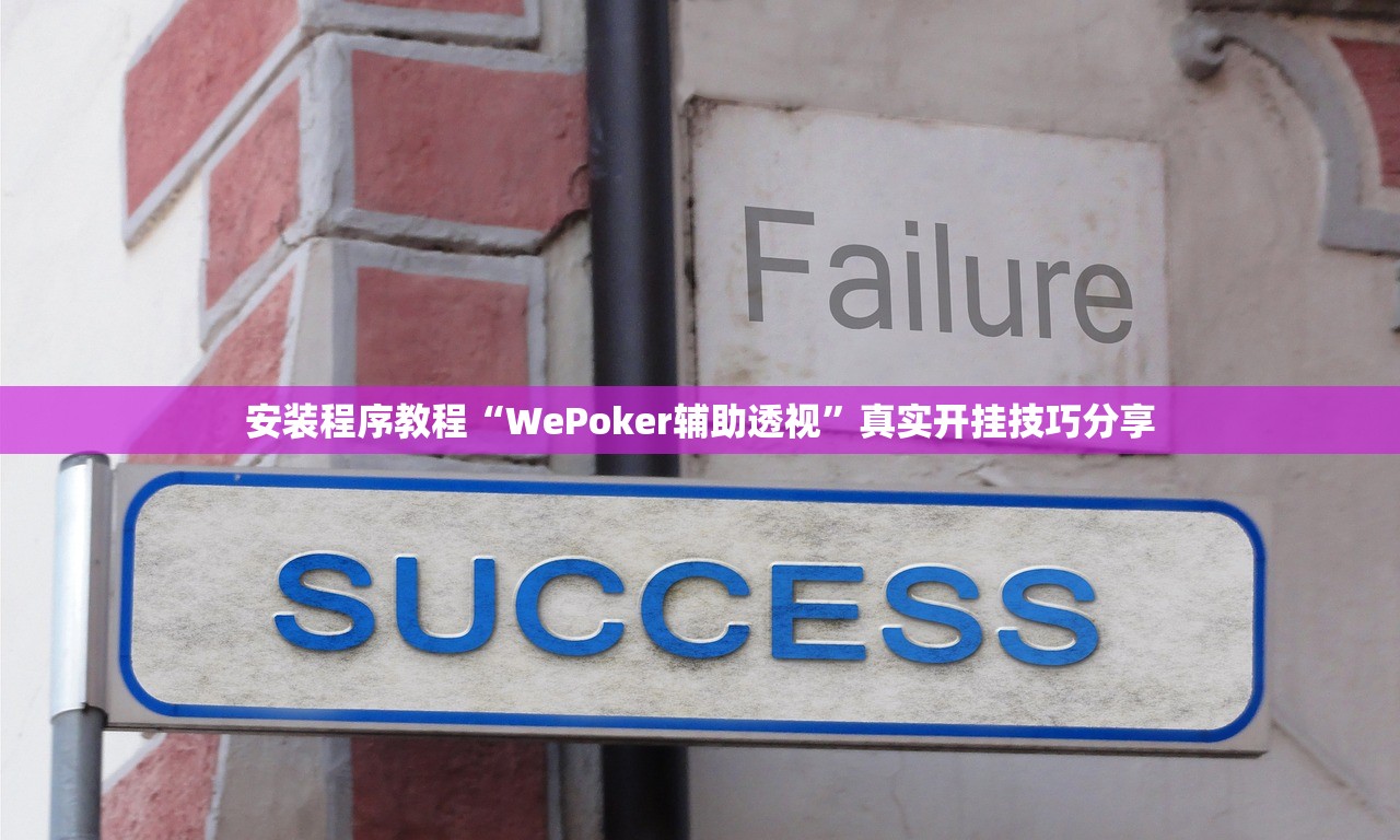 安装程序教程“WePoker辅助透视”真实开挂技巧分享