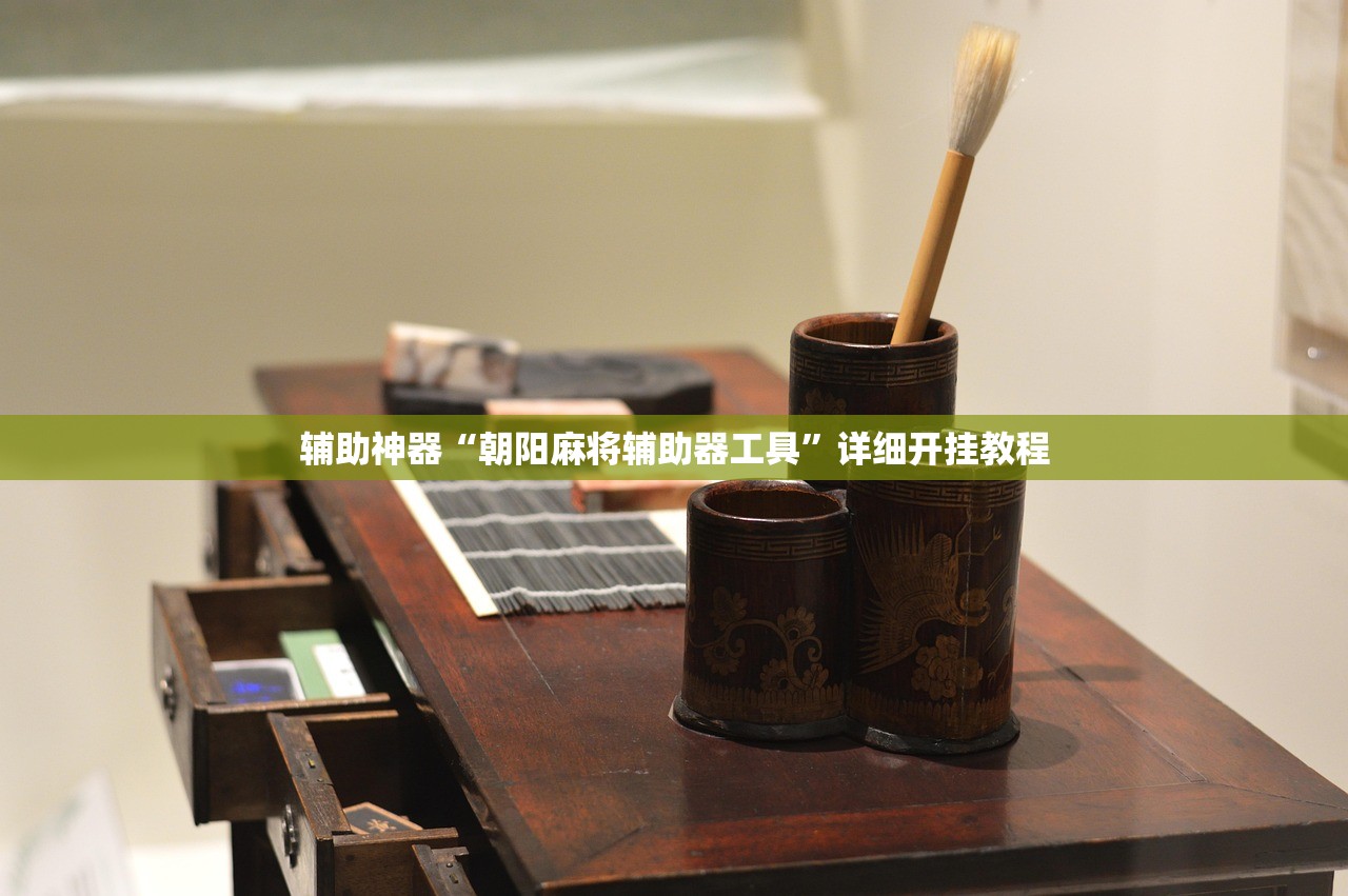 辅助神器“朝阳麻将辅助器工具	”详细开挂教程