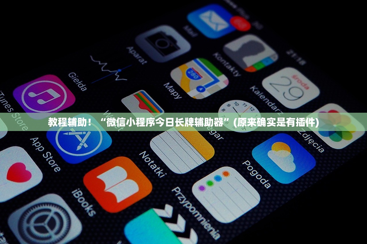 教程辅助！“微信小程序今日长牌辅助器”(原来确实是有插件)