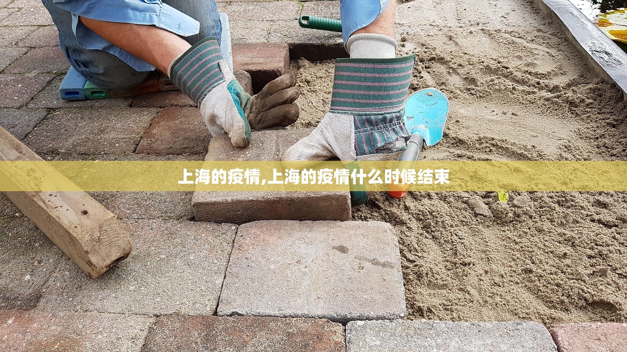 上海的疫情,上海的疫情什么时候结束