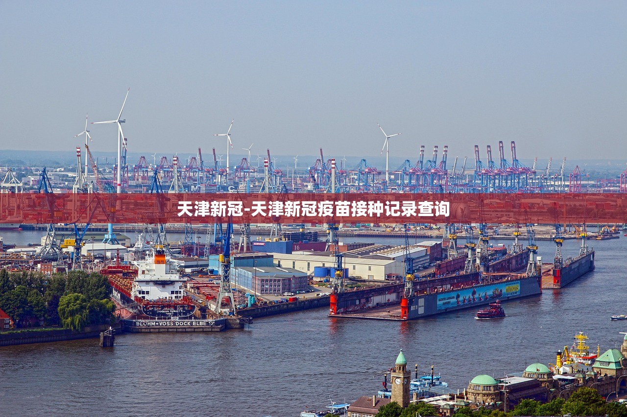 天津新冠-天津新冠疫苗接种记录查询
