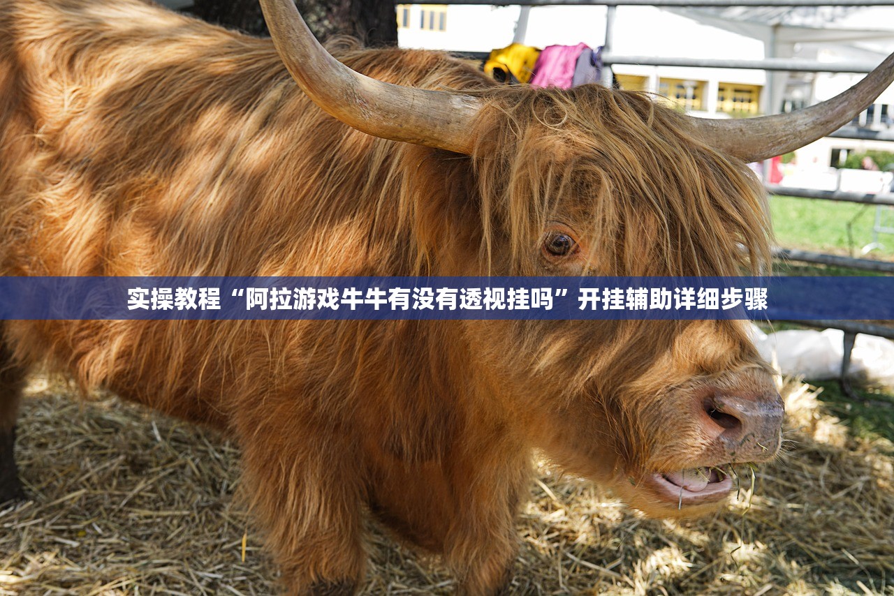 实操教程“阿拉游戏牛牛有没有透视挂吗	”开挂辅助详细步骤