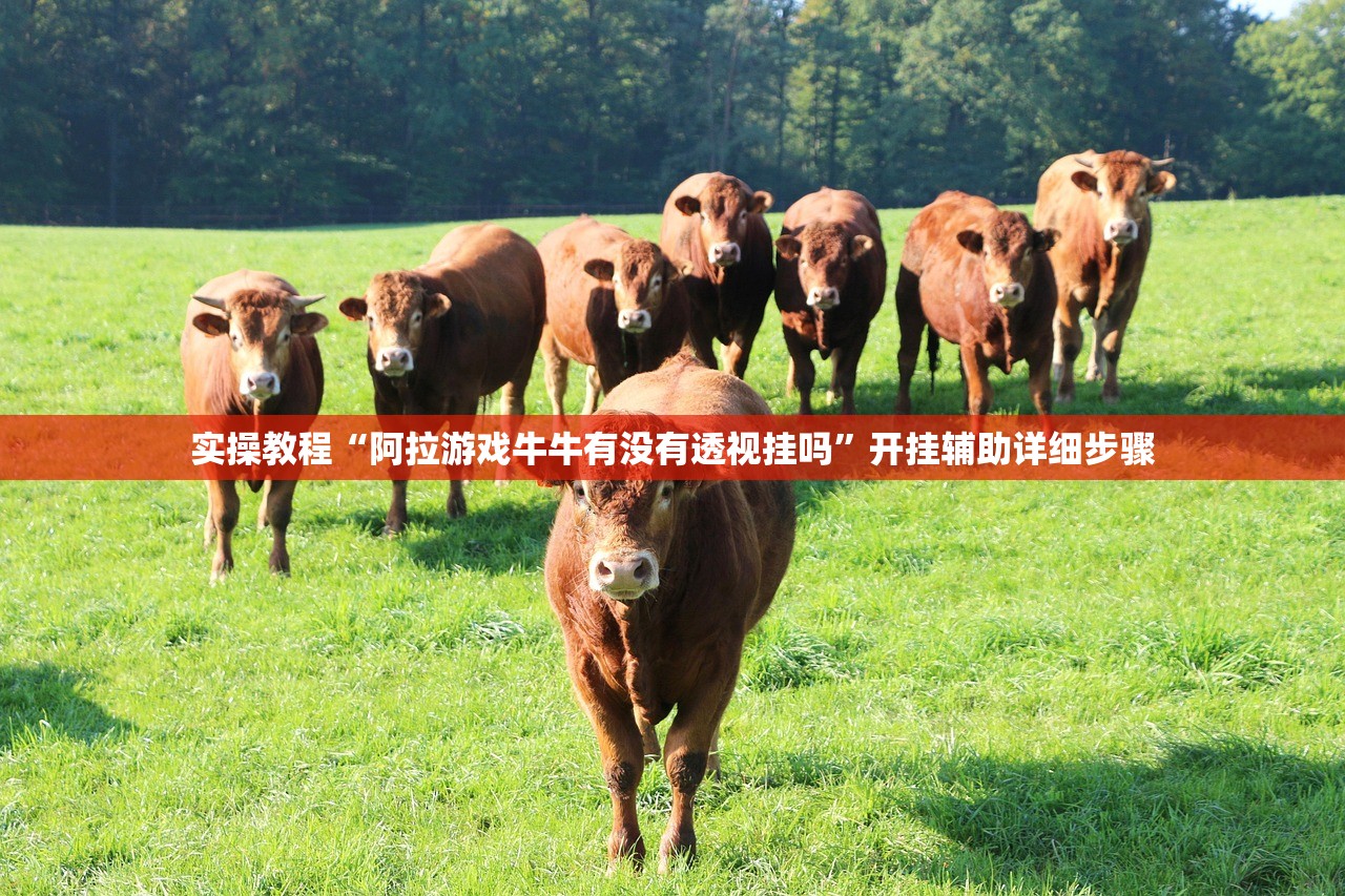 实操教程“阿拉游戏牛牛有没有透视挂吗”开挂辅助详细步骤