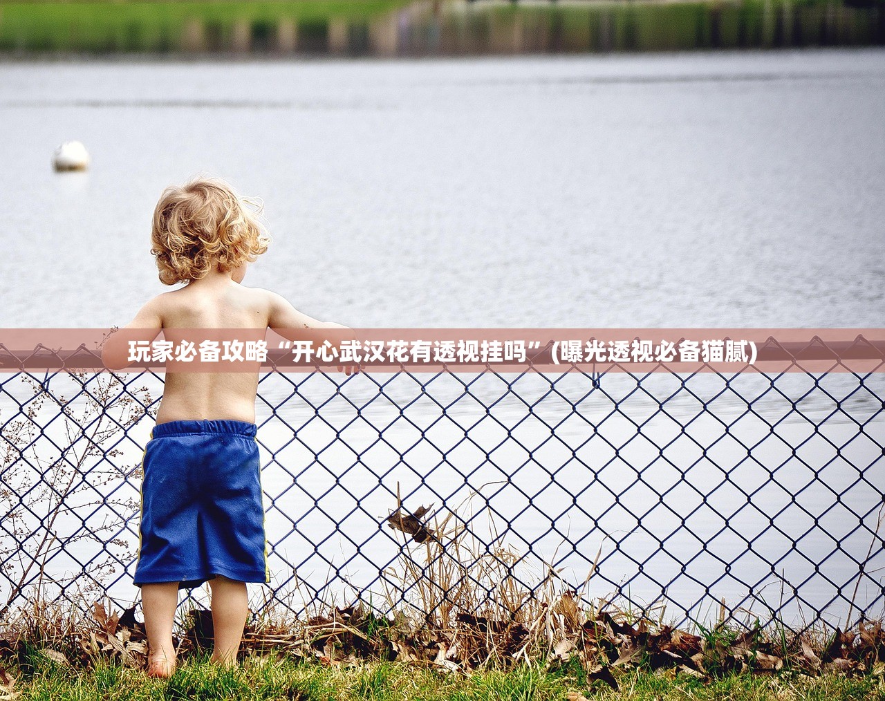 玩家必备攻略“开心武汉花有透视挂吗”(曝光透视必备猫腻)