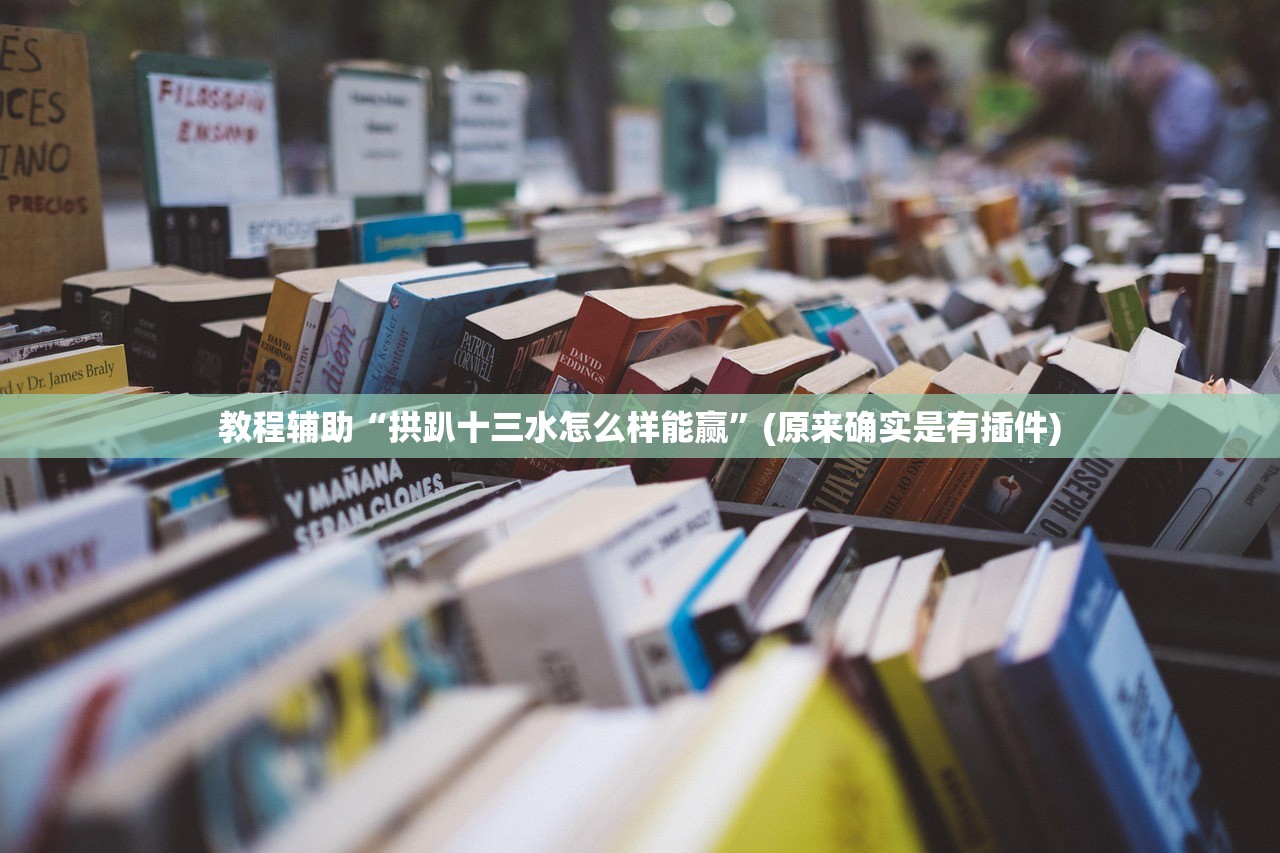 教程辅助“拱趴十三水怎么样能赢”(原来确实是有插件)