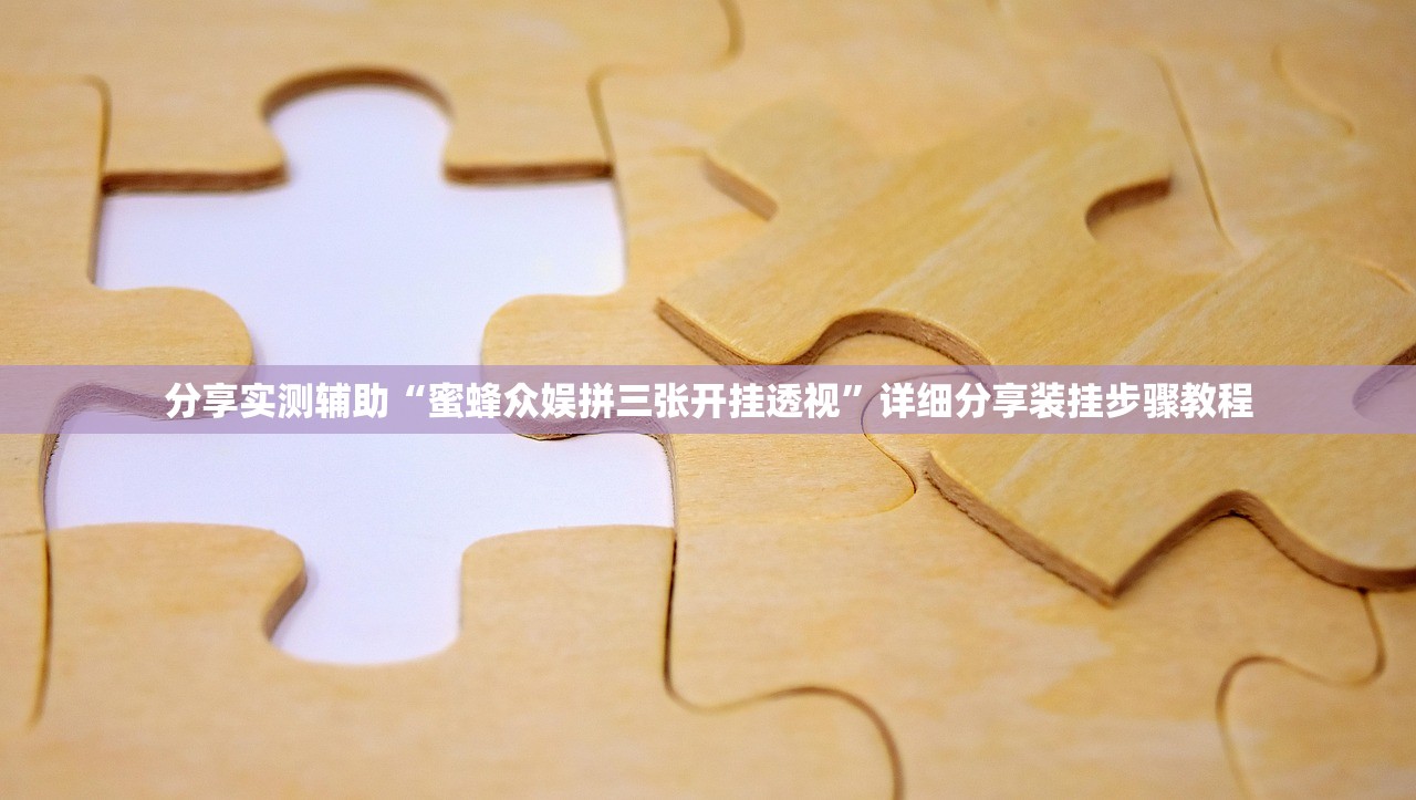 分享实测辅助“蜜蜂众娱拼三张开挂透视	”详细分享装挂步骤教程