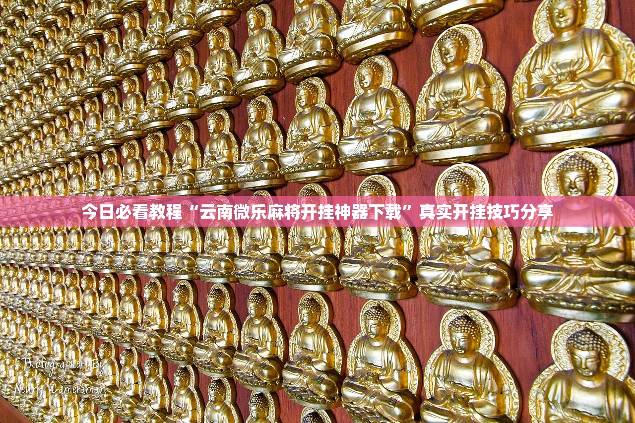 今日必看教程“云南微乐麻将开挂神器下载”真实开挂技巧分享