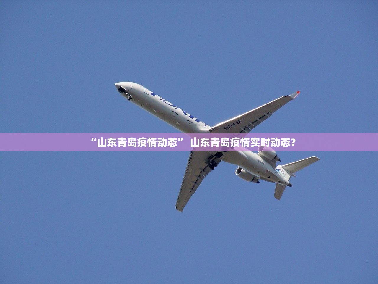 “山东青岛疫情动态” 山东青岛疫情实时动态？