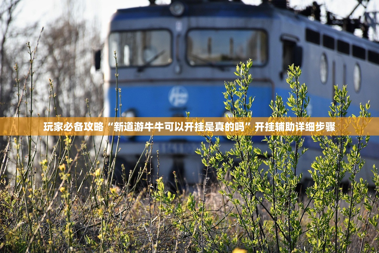 玩家必备攻略“新道游牛牛可以开挂是真的吗”开挂辅助详细步骤