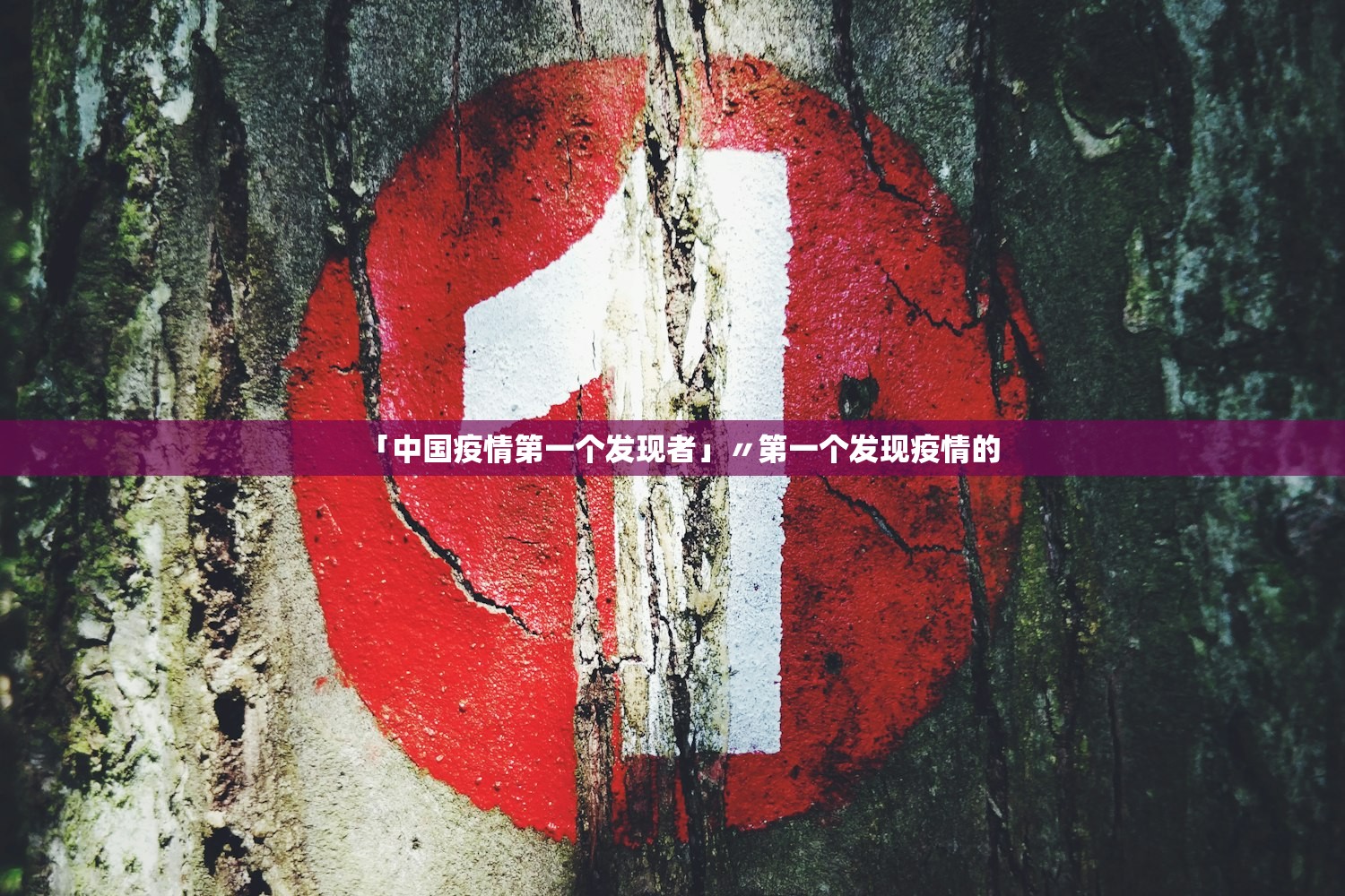 「中国疫情第一个发现者」〃第一个发现疫情的