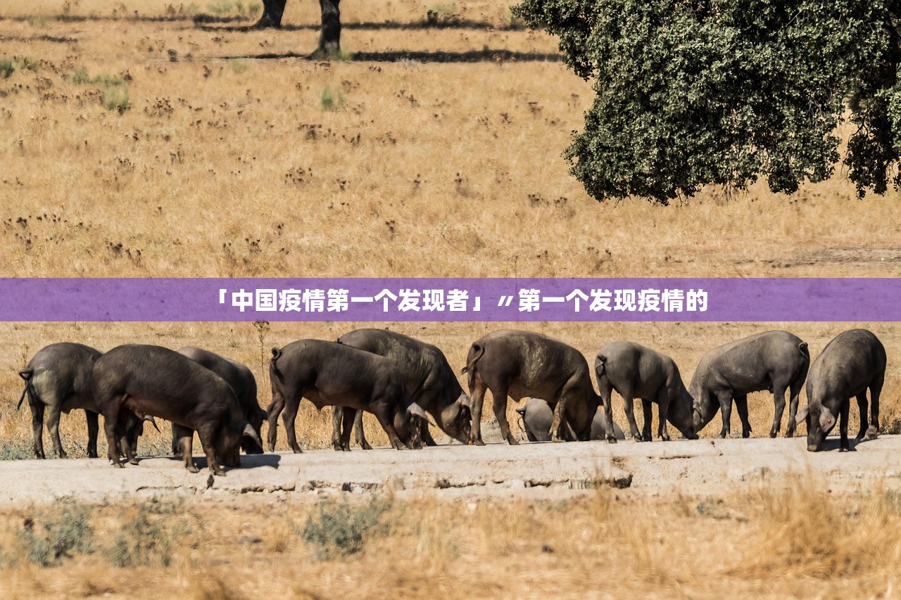 「中国疫情第一个发现者」〃第一个发现疫情的