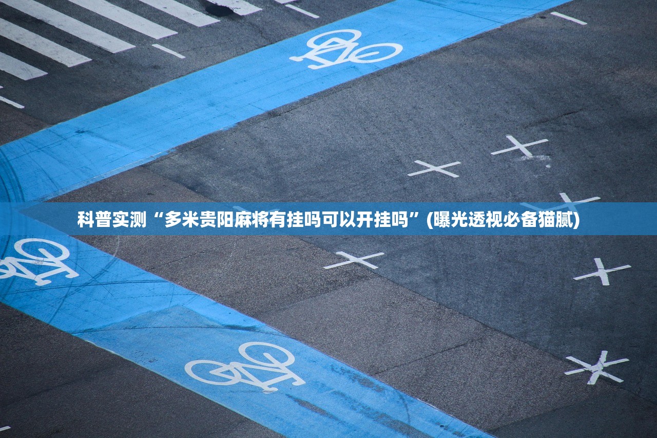 科普实测“多米贵阳麻将有挂吗可以开挂吗	”(曝光透视必备猫腻)