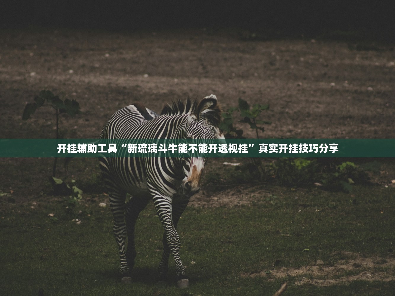 开挂辅助工具“新琉璃斗牛能不能开透视挂”真实开挂技巧分享