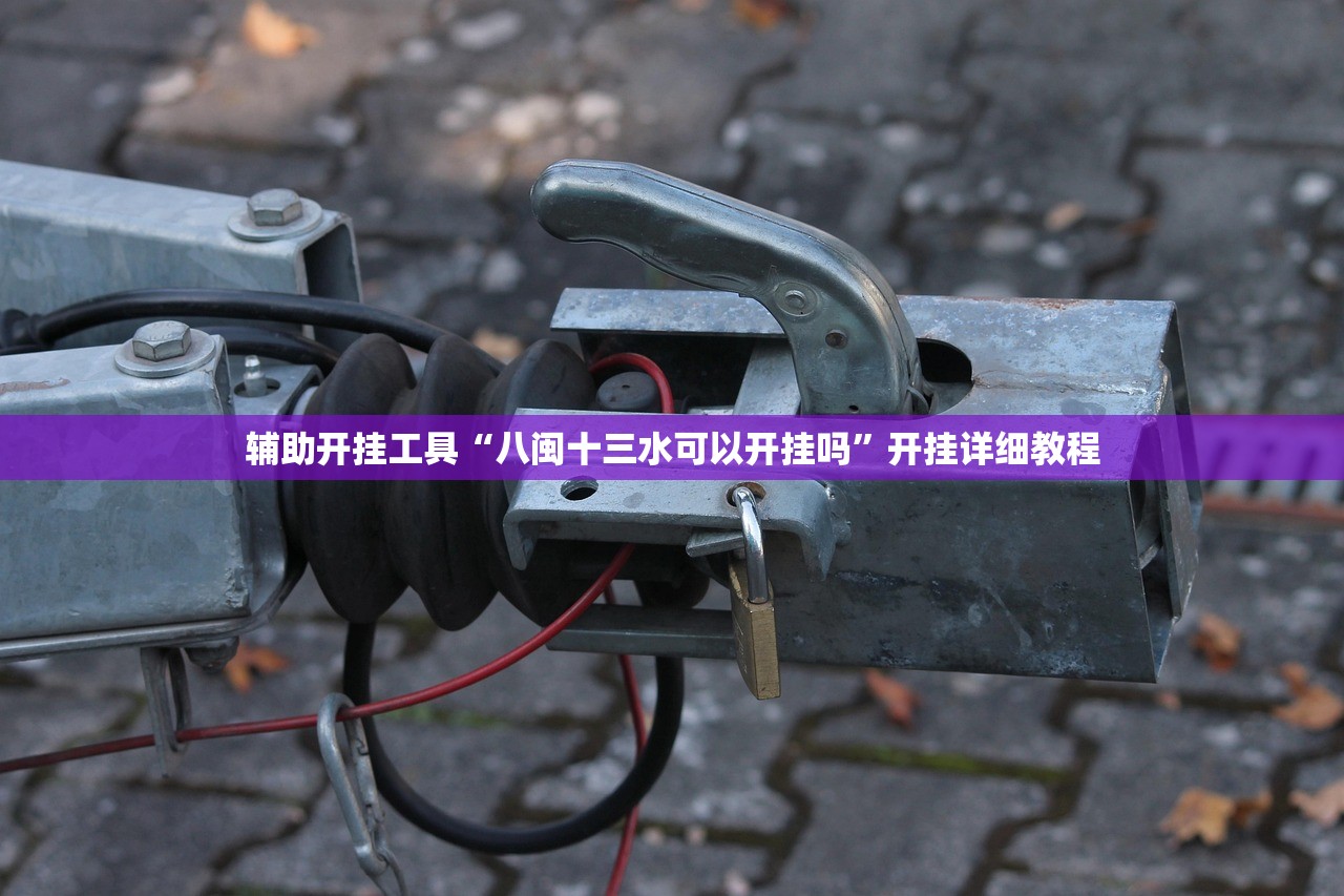 实操教程“熊猫互娱到底有没有挂”2026开挂教程步骤