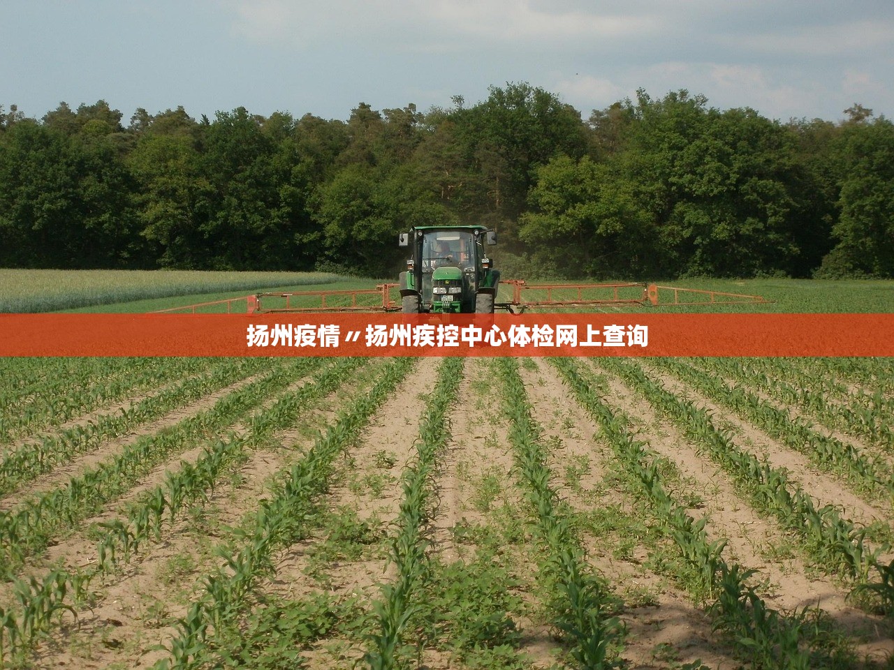 31省新增本土52例︰(31省新增本土病例13例)