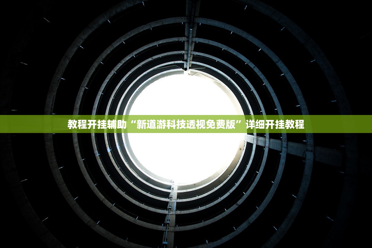 教程开挂辅助“新道游科技透视免费版”详细开挂教程