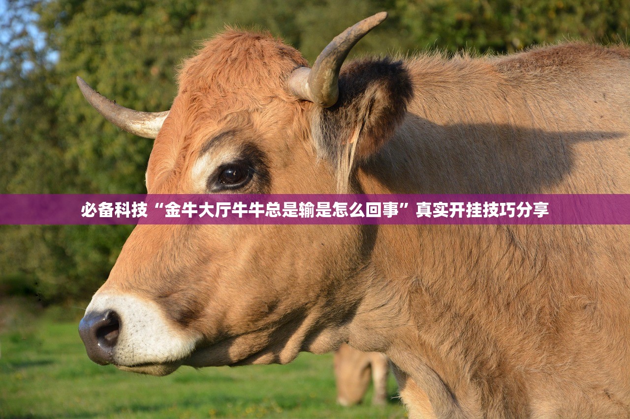 必备科技“金牛大厅牛牛总是输是怎么回事	”真实开挂技巧分享