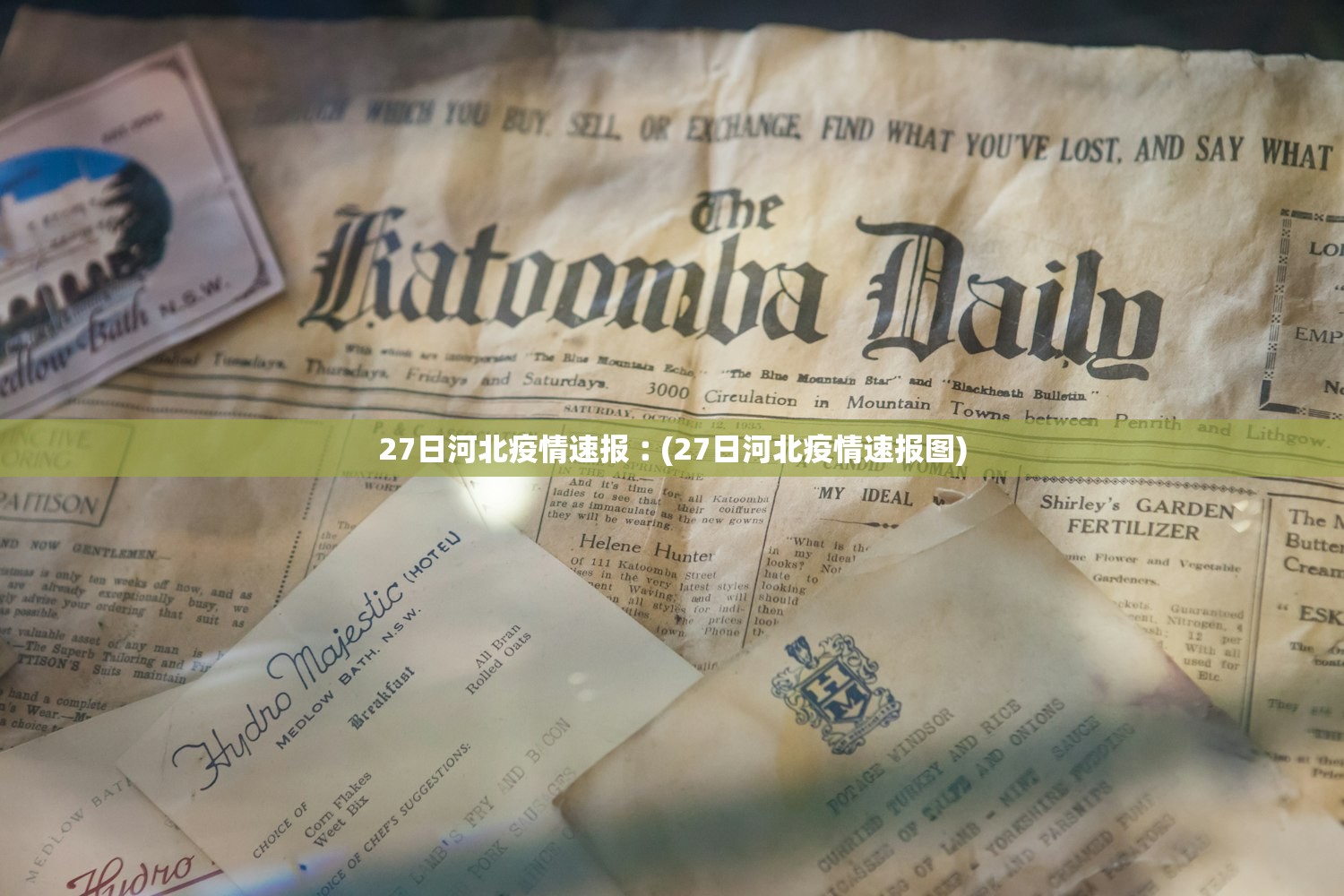 27日河北疫情速报︰(27日河北疫情速报图)