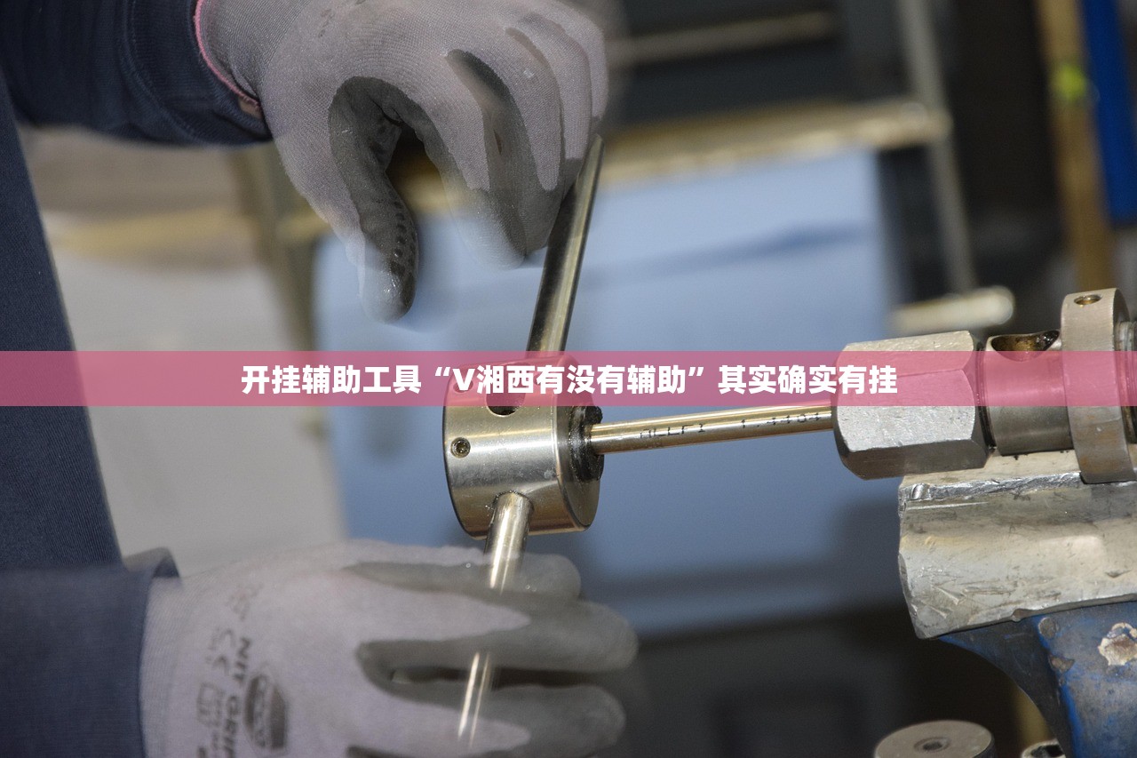 开挂辅助工具“V湘西有没有辅助	”其实确实有挂