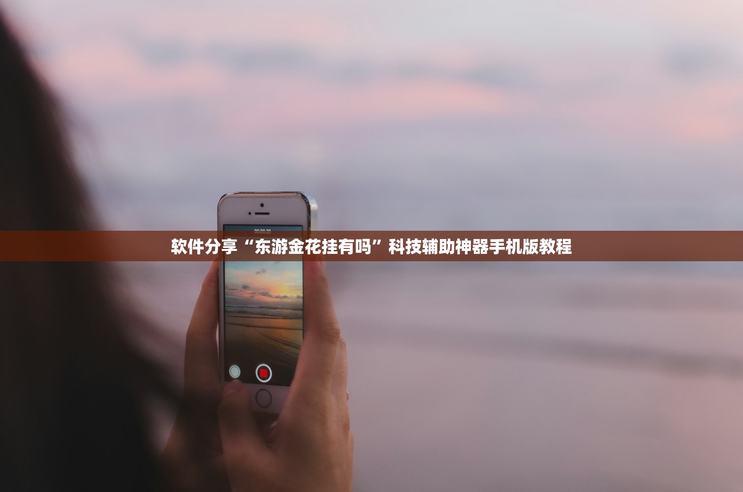软件分享“东游金花挂有吗”科技辅助神器手机版教程