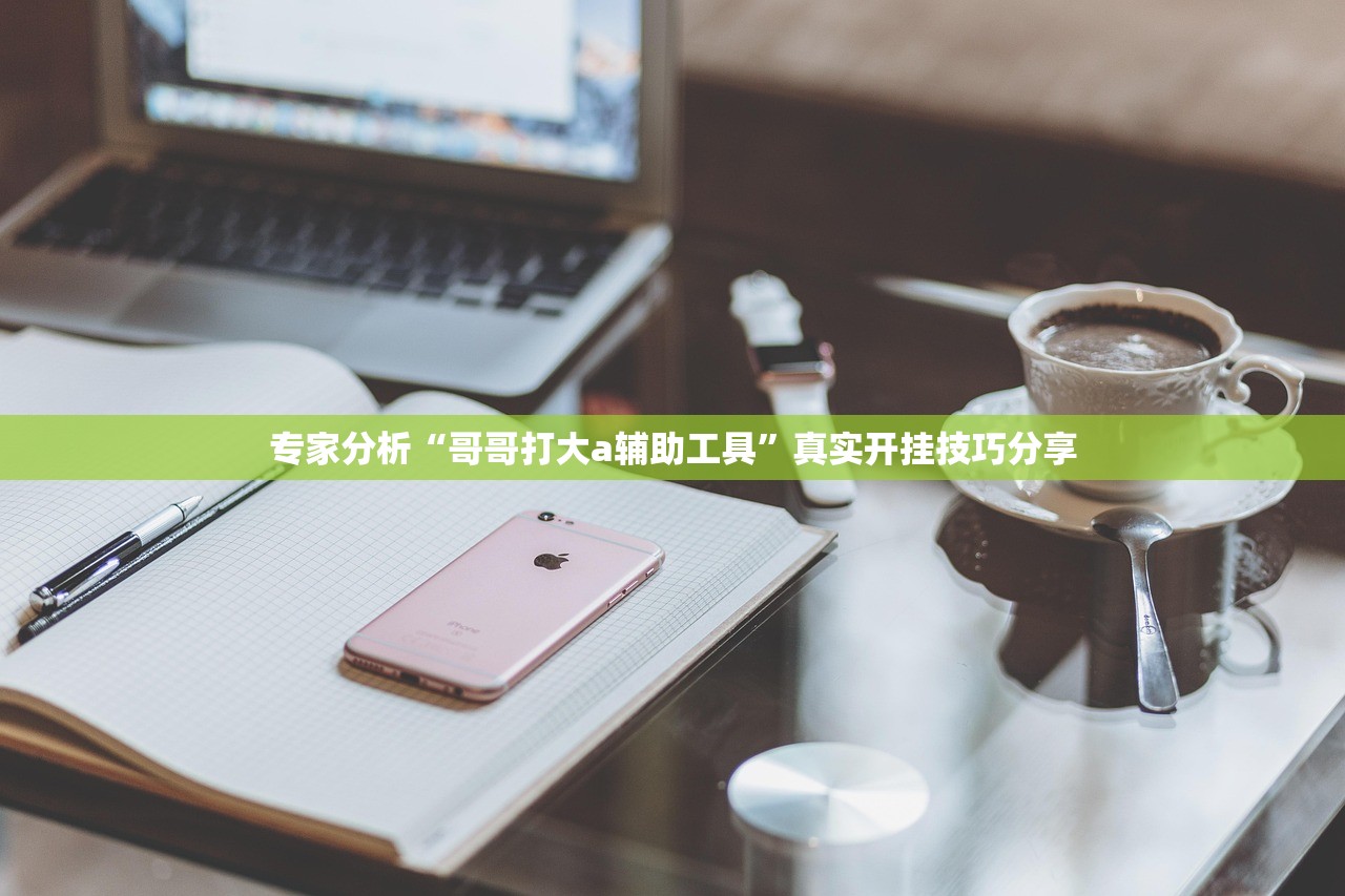专家分析“哥哥打大a辅助工具	”真实开挂技巧分享