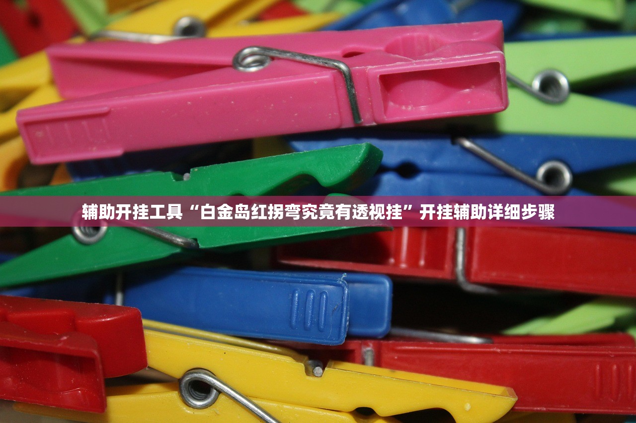 辅助开挂工具“白金岛红拐弯究竟有透视挂”开挂辅助详细步骤