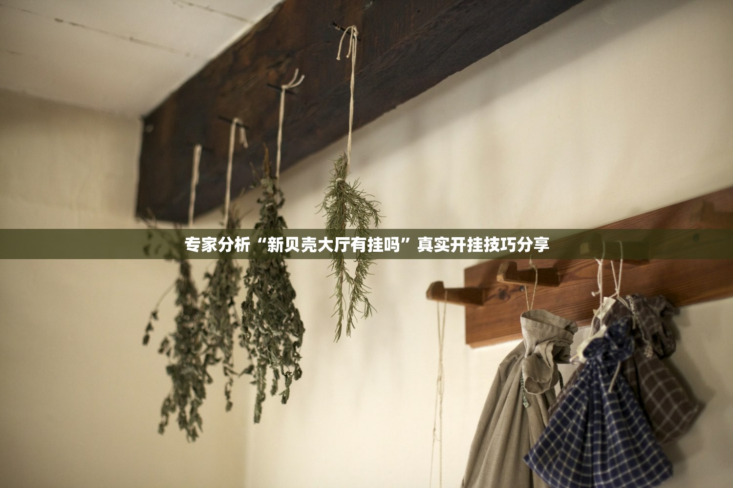 专家分析“新贝壳大厅有挂吗”真实开挂技巧分享