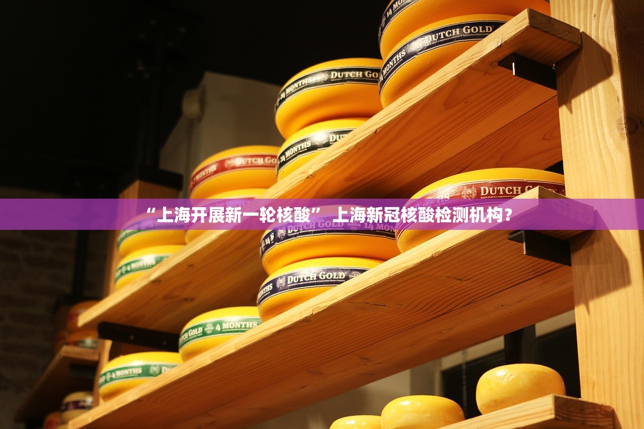 “上海开展新一轮核酸	” 上海新冠核酸检测机构？