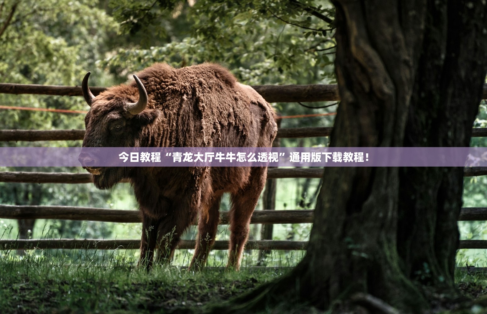 今日教程“青龙大厅牛牛怎么透视”通用版下载教程！
