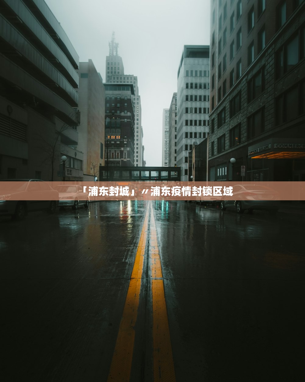 「浦东封城」〃浦东疫情封锁区域