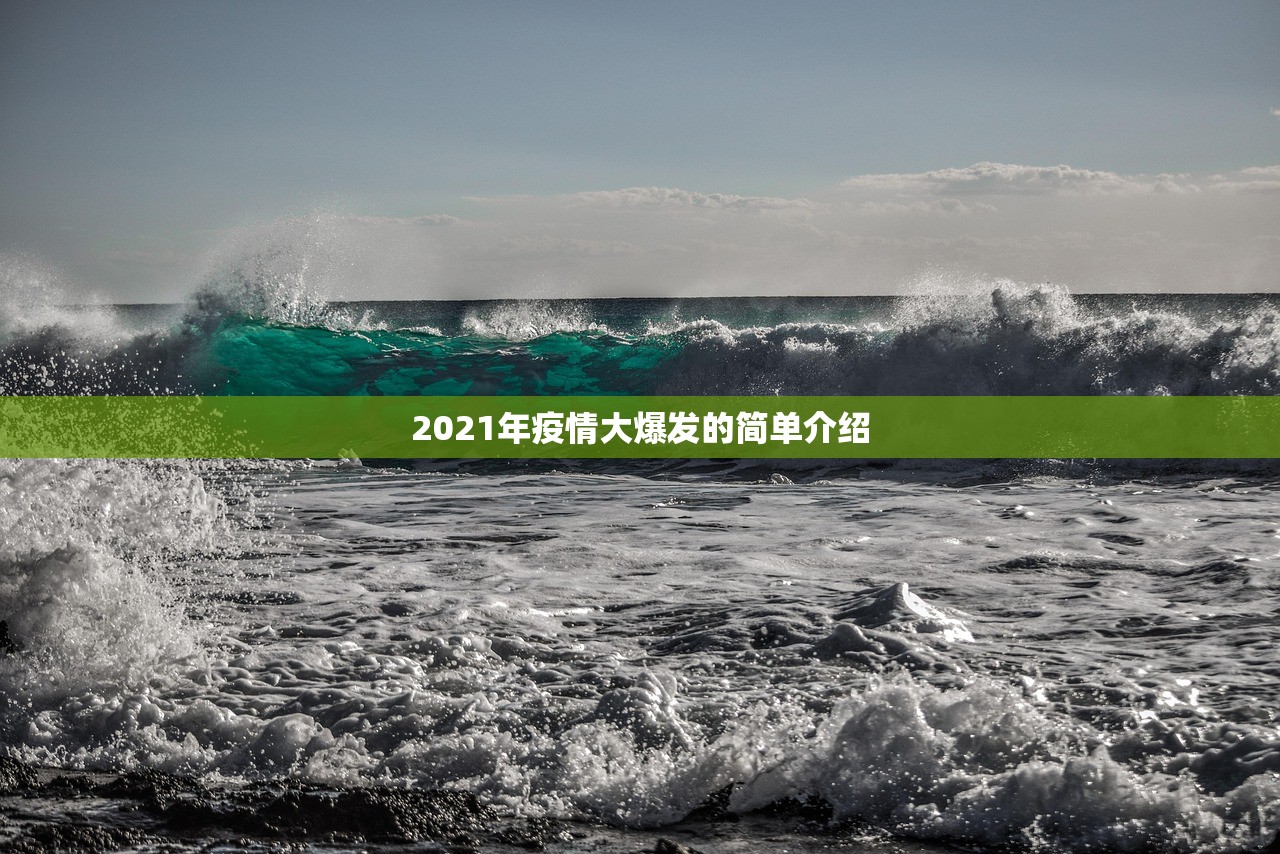 2021年疫情大爆发的简单介绍