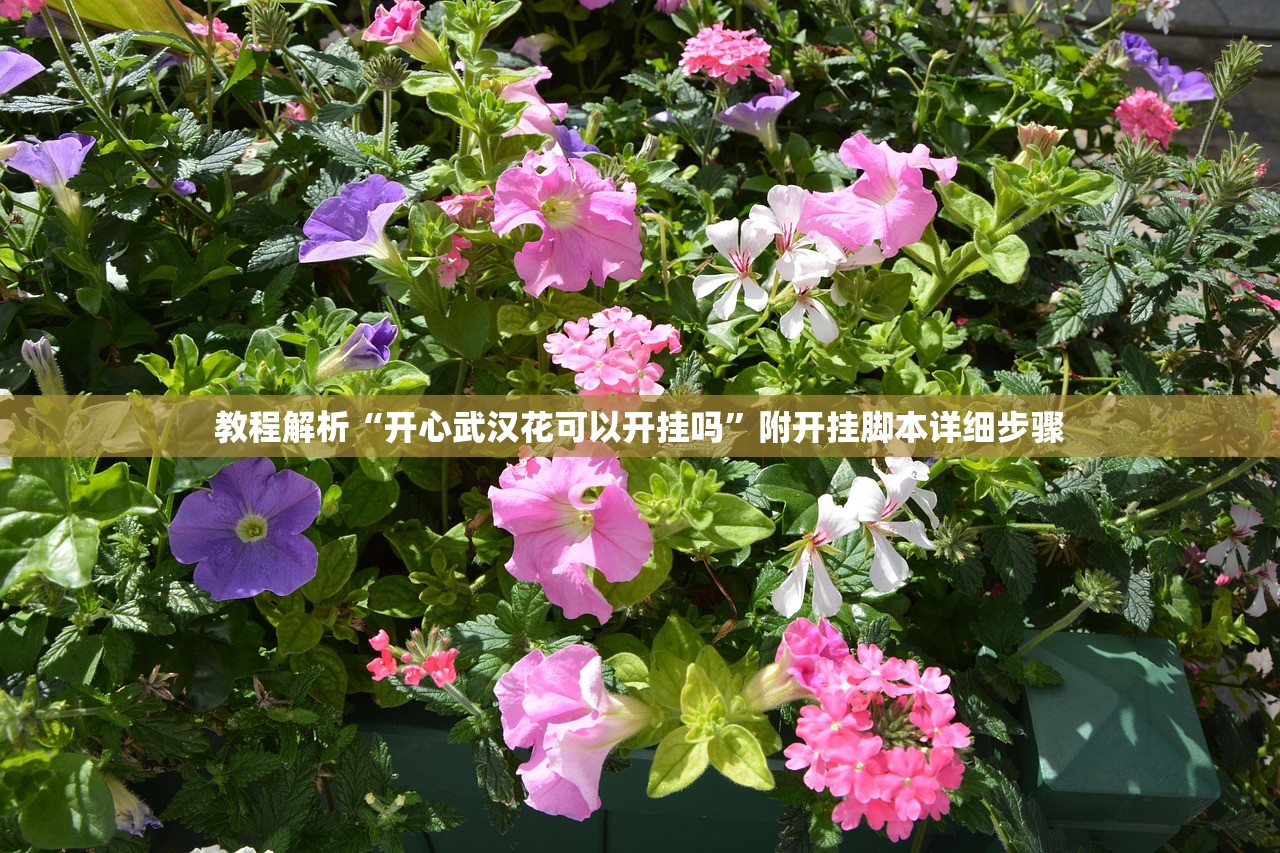 教程解析“开心武汉花可以开挂吗”附开挂脚本详细步骤