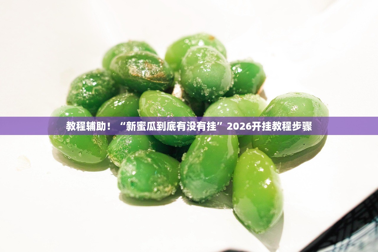 教程辅助！“新蜜瓜到底有没有挂”2026开挂教程步骤